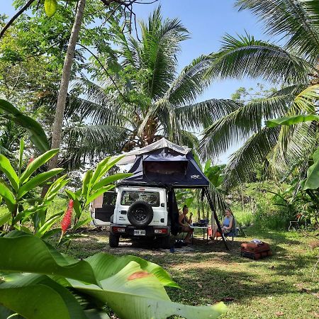 La Munequita Lodge 1 - Culture & Nature Experience Palmar Norte 외부 사진