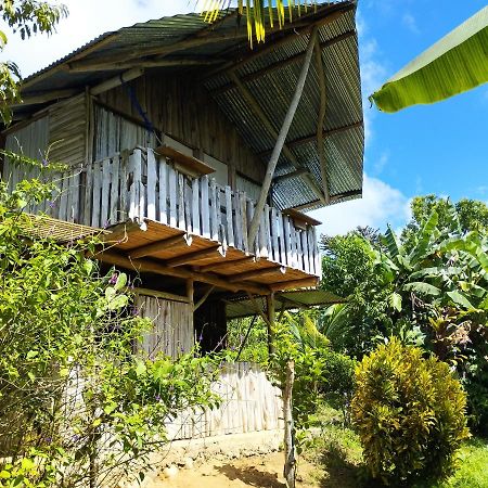 La Munequita Lodge 1 - Culture & Nature Experience Palmar Norte 외부 사진