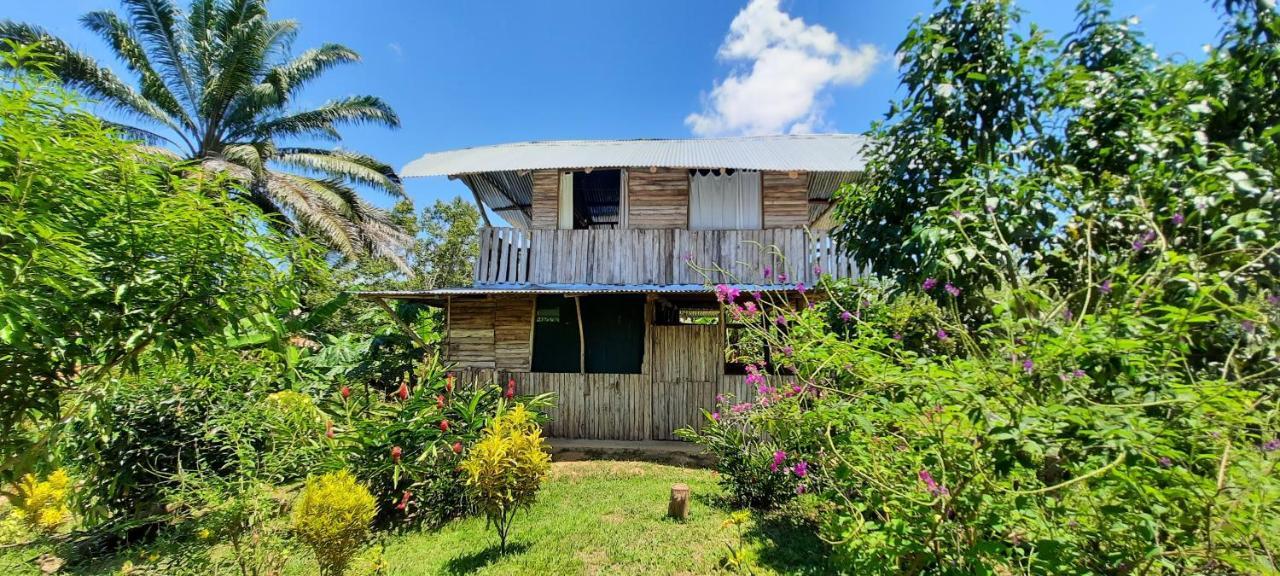 La Munequita Lodge 1 - Culture & Nature Experience Palmar Norte 외부 사진