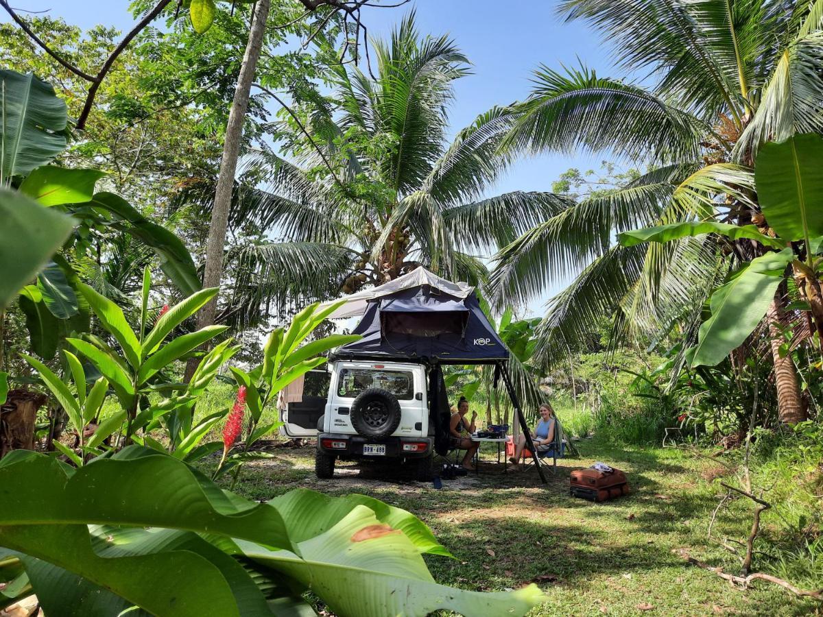 La Munequita Lodge 1 - Culture & Nature Experience Palmar Norte 외부 사진