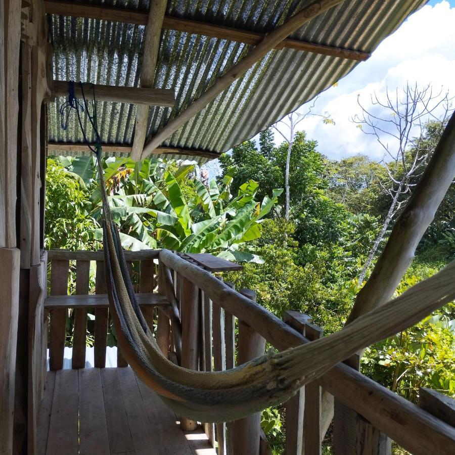 La Munequita Lodge 1 - Culture & Nature Experience Palmar Norte 외부 사진