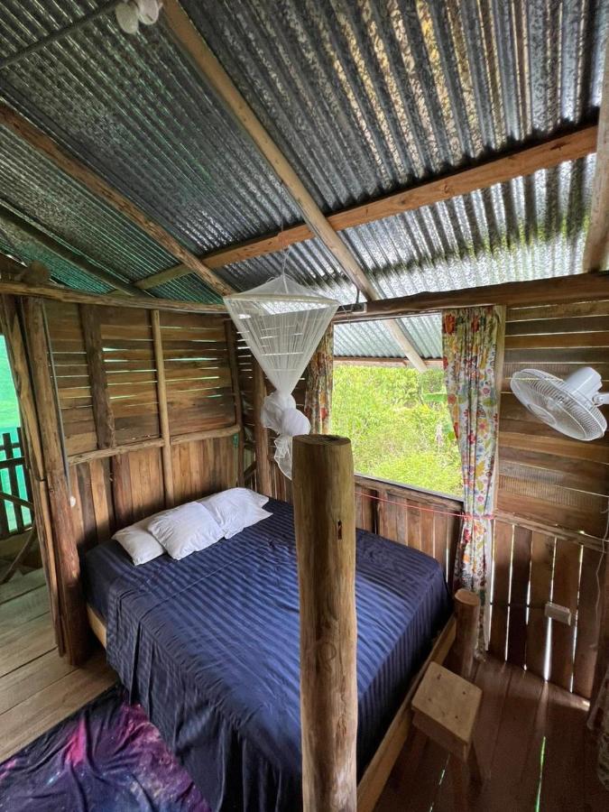 La Munequita Lodge 1 - Culture & Nature Experience Palmar Norte 외부 사진